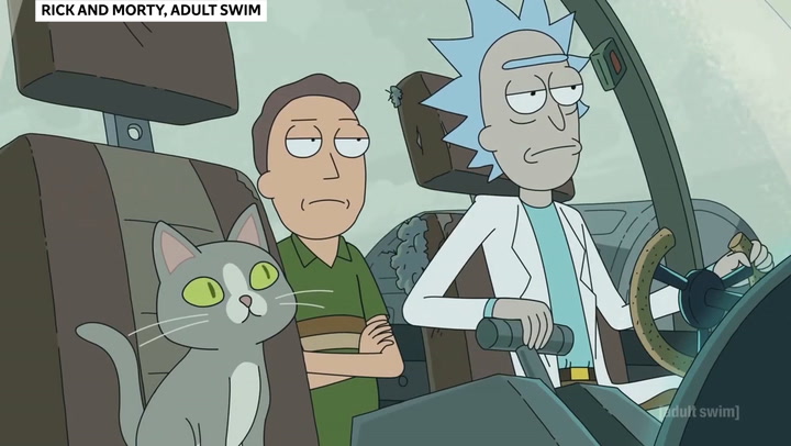 talking cat rick and morty2 - Rick And Morty Shop
