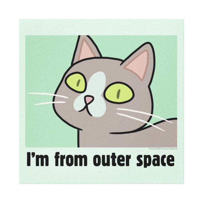 rick and morty im from outer space canvas print - Rick And Morty Shop