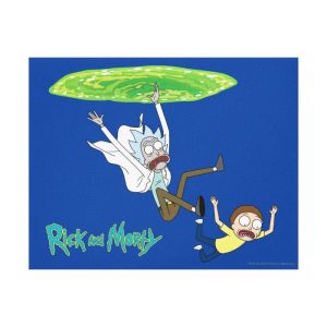 rick and morty falling out of portal canvas print rb9cefcd976d84bf38cc7b055dbecae69 2wqe 8byvr 1000 700x700 1 - Rick And Morty Shop